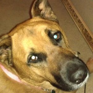 Meet your Posher, Monica